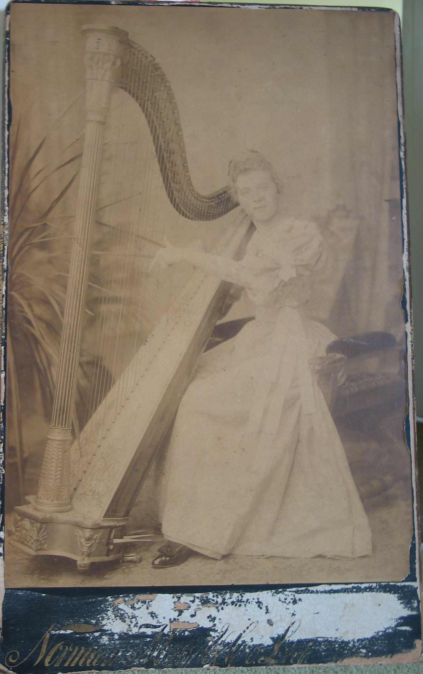 Nellie with harp